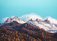 世界杯在线观看-【直播】小白熊谈清清转野：当时猪哼让我去现场，太搞笑了，去毛的现场