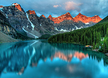 世界杯在线观看-【直播】小白熊谈清清转野：当时猪哼让我去现场，太搞笑了，去毛的现场