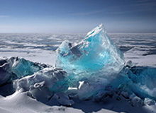 世界杯在线观看-【直播】小白熊谈清清转野：当时猪哼让我去现场，太搞笑了，去毛的现场